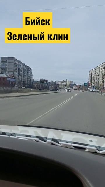 Бийск. Зеленый клин #бийск #Алтай #shortvideo #storis #черноваирина #тасамаячернова смотреть онлайн