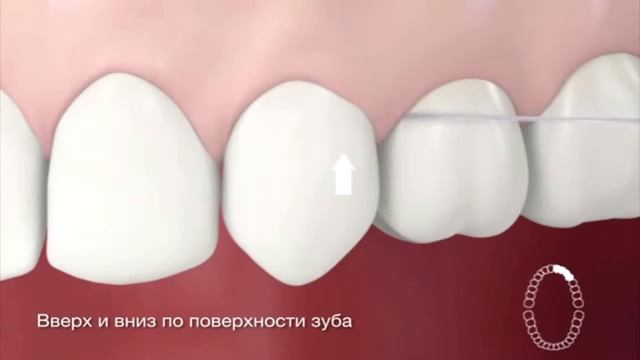 Правильная техника использование зубной нити смотреть онлайн