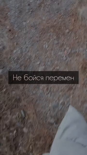 🫣Перемены в жизни - это всегда страшно