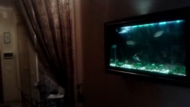 20140216 1544391 НастенАква смотреть онлайн