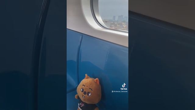 V-LOG Jalan-jalan bareng Han Quokka Skzoo Pluh (Okka) смотреть онлайн