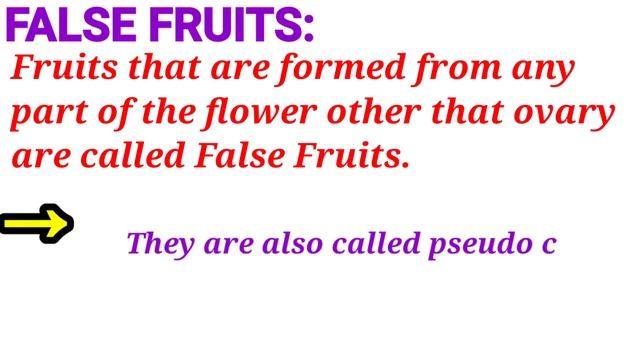 Why Apple is not called a true fruit? || Apple ko True Fruit kyu nhi kha jata hai|| #Bpsc #upsc смотреть онлайн