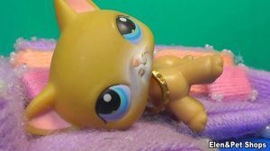 LPS: ЛЕЖАЧАЯ 3 серия