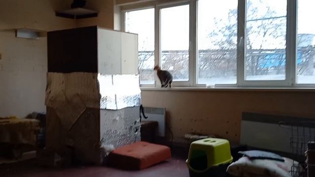 Спасибо нашим людям. Будьте здоровы и богаты в истинно русском значении этого слова! Отчет 13.11.2 смотреть онлайн