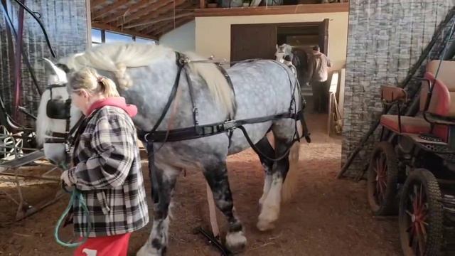 Павел Поляков, русская тройка, семья Корчагиных
