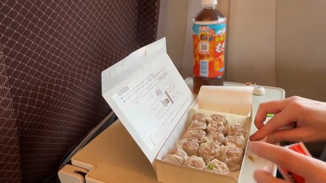 Travel from Tokyo to Nagoya on the Shinkansen Kodama green car! смотреть онлайн