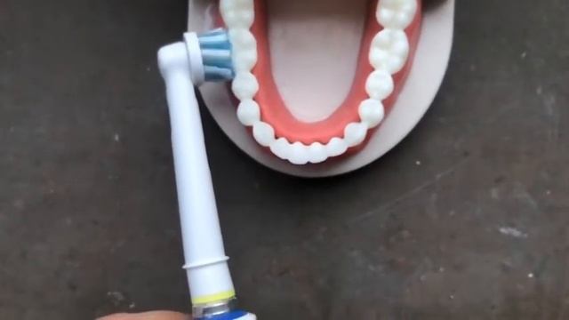 Oral-B 600 Professional Cross Action - TEST - TEST-PILOTERNA.se смотреть онлайн