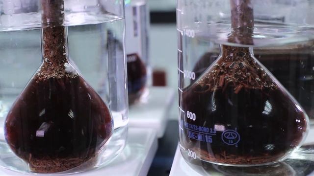 Hayleys Global Beverages Blinkbonnie Factory смотреть онлайн
