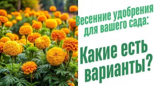 Удобрения для огорода весной.