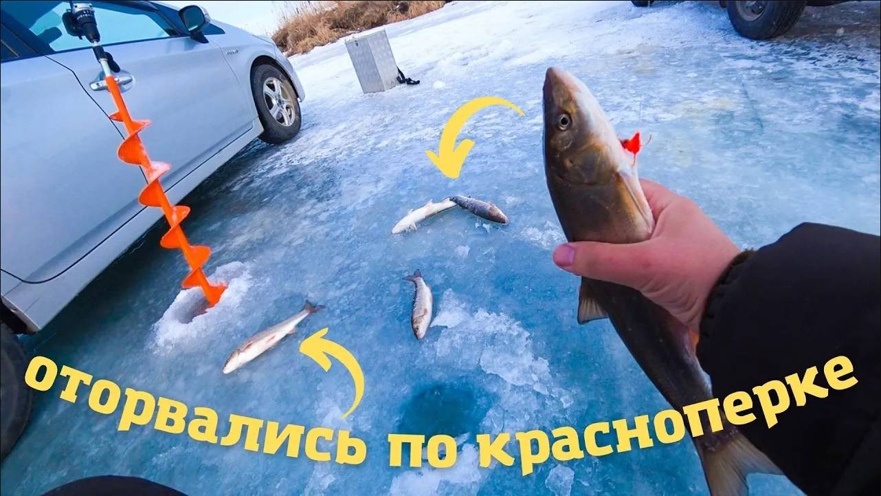 Оторвались по краснопёрке на зимней рыбалке! смотреть онлайн