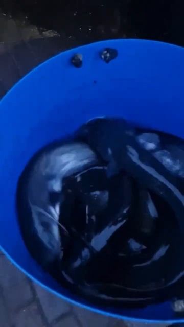 Зарыбление / Европейский сом / Рыбалка смотреть онлайн