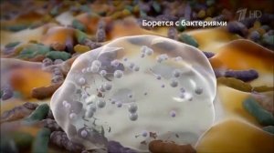 Реклама Колгейт Тотал   Абсолютно готов - Апрель 2019