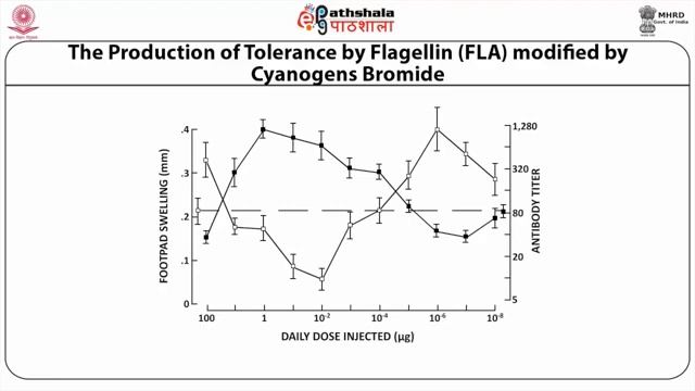 M-26.Immunotolerance (and immunosuppression) смотреть онлайн