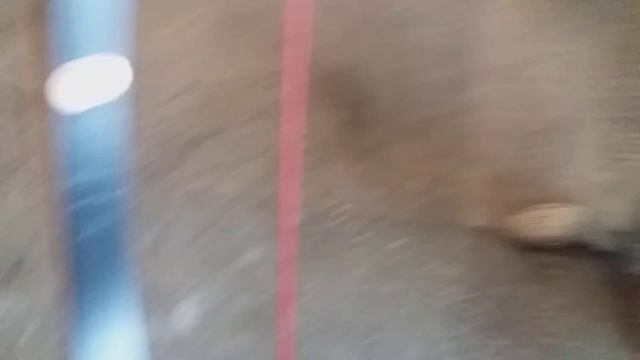 Satori. Agni. В деле на хроне. Я лажанул и Лук недооценил. 190+ на 28" 10гран/фунт смотреть онлайн