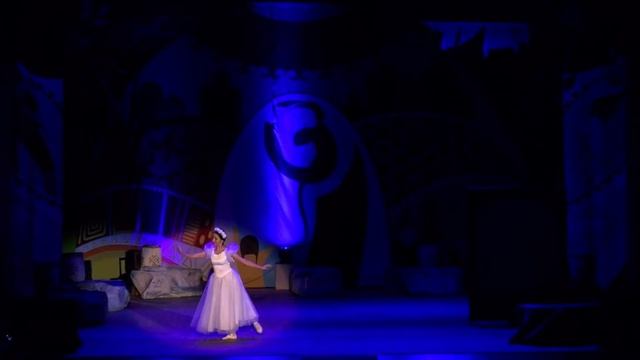 Театрально-хореографическая постановка «Цветы на камнях» смотреть онлайн