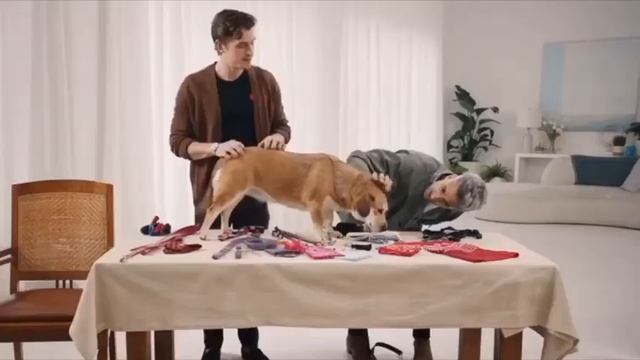 tan france and antoni porowski being cute for 7 minutes straight (part 3) смотреть онлайн