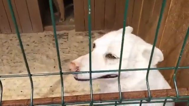 Ждуны❤️ Покушать — это святое! смотреть онлайн