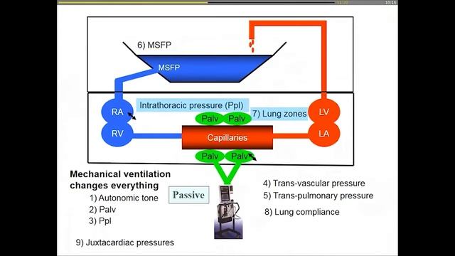 3 Heart-lung interactions Georgopoulos Dimitrios (H_dyn2017)