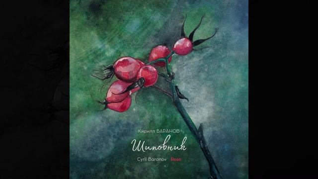 Cyril Baranov - North Wind (2018) смотреть онлайн