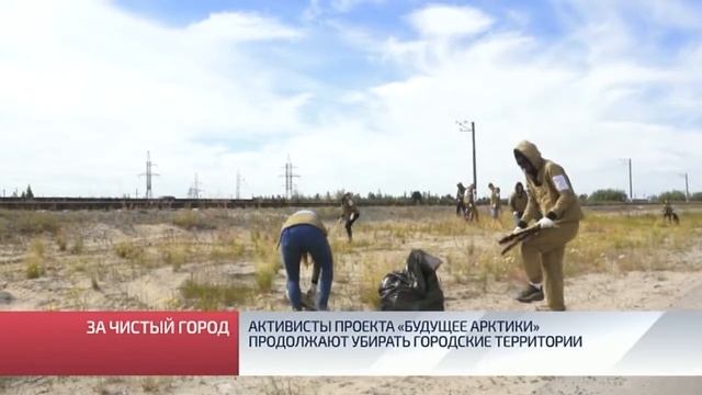Активисты проекта «Будущее Арктики» продолжают убирать городские территории смотреть онлайн