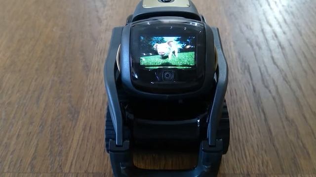 Anki Vector Farm Animals SDK смотреть онлайн