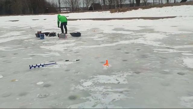 WhatsApp Video 2025-01-23 at 10.05.01 смотреть онлайн