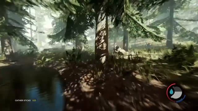 The Forest приколы смотреть онлайн