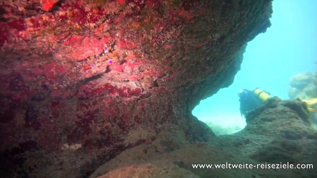 Playa Coral, Cuba, Fantastic Scuba Diving