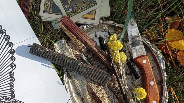 ASMR 💀 PAZUZU | СКАТЕРТЬ ПАЗУЗУ ПОЧТИ ГОТОВА ☻️ #магия #назаказ #таро #демон #ведьма #алтарь #тату смотреть онлайн