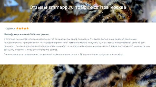 Отзывы smmapp.ru трафик сайтов москва смотреть онлайн