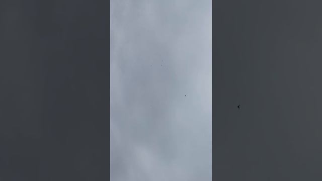 1 февраля 2021 г. смотреть онлайн