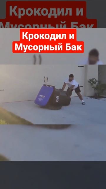 Крокодил Гена и мусорный бак. смотреть онлайн