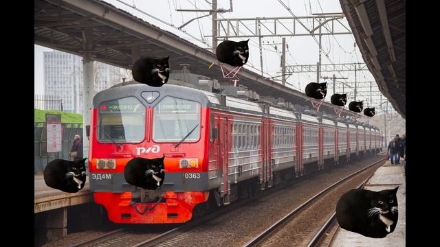 Максвеллы размножились и танцуют на пантографах электрички ЭД4М-363 смотреть онлайн