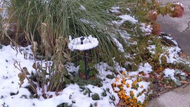 Last Garden Update 2020 смотреть онлайн