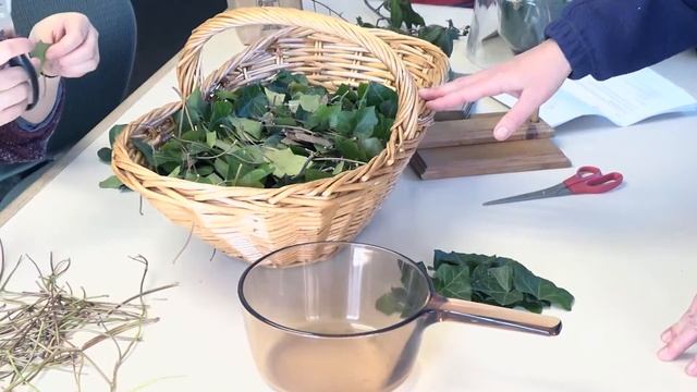 Soap from Ivy Saponins (OER) смотреть онлайн