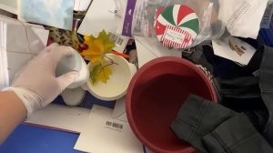 🔴СВАЛКА В США Секонд Хенд на Вес #OlyaSineevaUSA