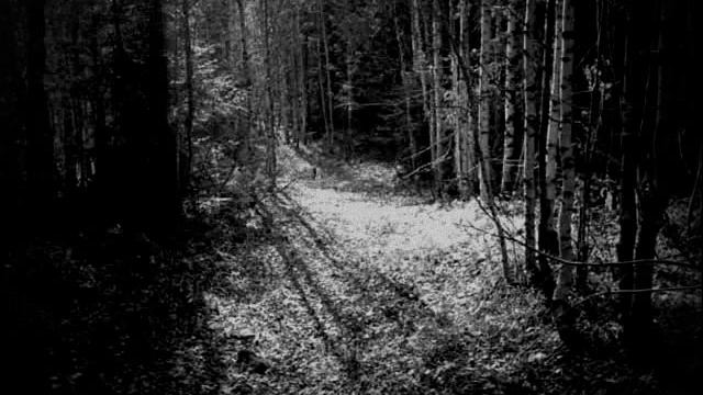 Acoustic Black Metal.RN-Part 1 смотреть онлайн