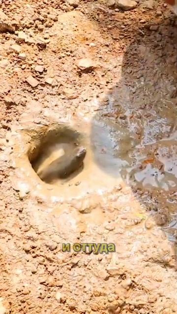 Как вам такая рыбалка смотреть онлайн