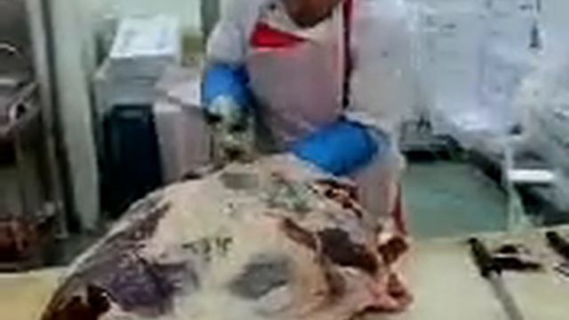 Обвалка @упер.mp4 смотреть онлайн