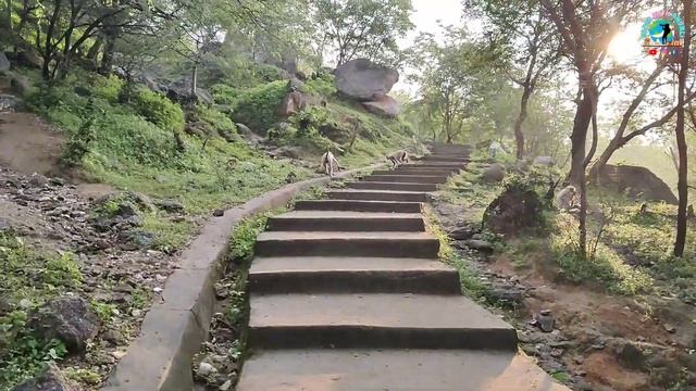 Kedarnath Tracking | Jessore Hills | Banaskantha Safar | Safarwithanjali смотреть онлайн