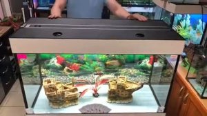 Аквариум 200 литров