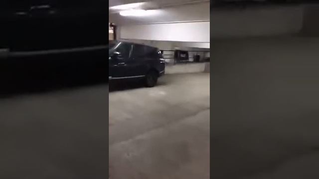 danikfrenchbakery Зарядка Тесла смотреть онлайн