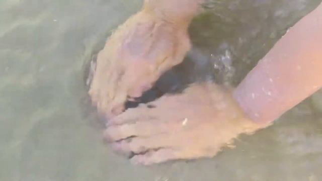 Мистические дыры на океанском пляже смотреть онлайн