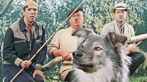 Пёс Барбос и необычный кросс