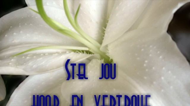 Atlantis First Baptist Church: Sunday Service 07th June 2020 (Leon Roman) смотреть онлайн