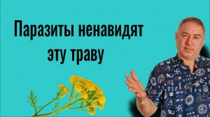 Глисты сбегают моментально. Чистка тела от паразитов - эта трава творит чудеса