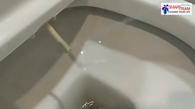MANUAL BIDET | botak guy antony tan смотреть онлайн