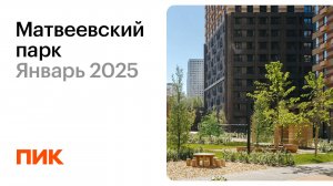 Матвеевский парк 20.01.2025