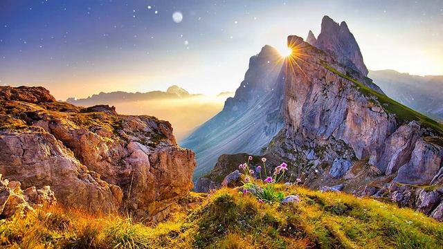 Волшебная нежность цветов и Потрясающей музыки для души Сергея Чекалина смотреть онлайн