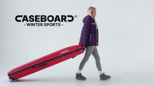 Презентация CaseBoard